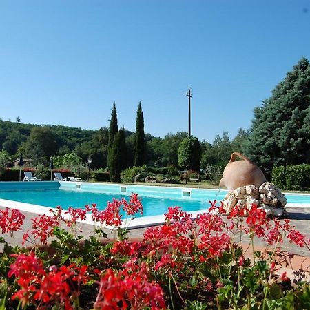 Fattoria Antognoni Villa Reggello Bagian luar foto